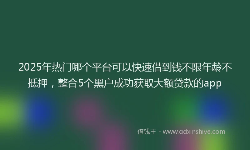 2025年热门哪个平台可以快速借到钱不限年龄不抵押，整合5个黑户成功获取大额贷款的app