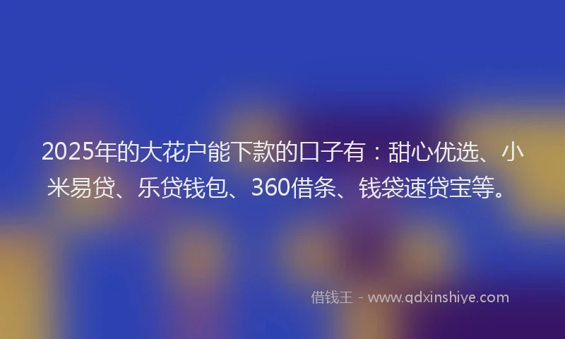 2025年的大花户能下款的口子有：甜心优选、小米易贷、乐贷钱包、360借条、钱袋速贷宝等。
