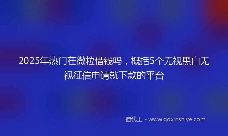 2025年热门在微粒借钱吗，概括5个无视黑白无视征信申请就下款的平台