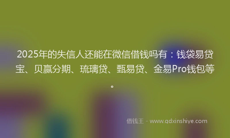 2025年的失信人还能在微信借钱吗有：钱袋易贷宝、贝赢分期、琉璃贷、甄易贷、金易Pro钱包等。