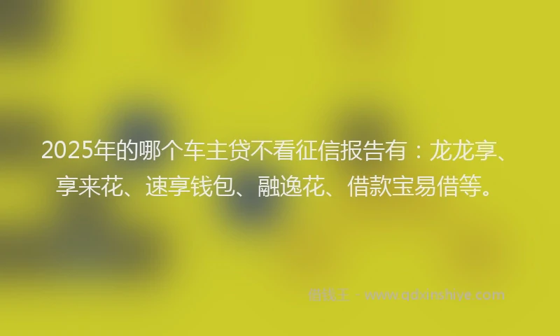 2025年的哪个车主贷不看征信报告有：龙龙享、享来花、速享钱包、融逸花、借款宝易借等。