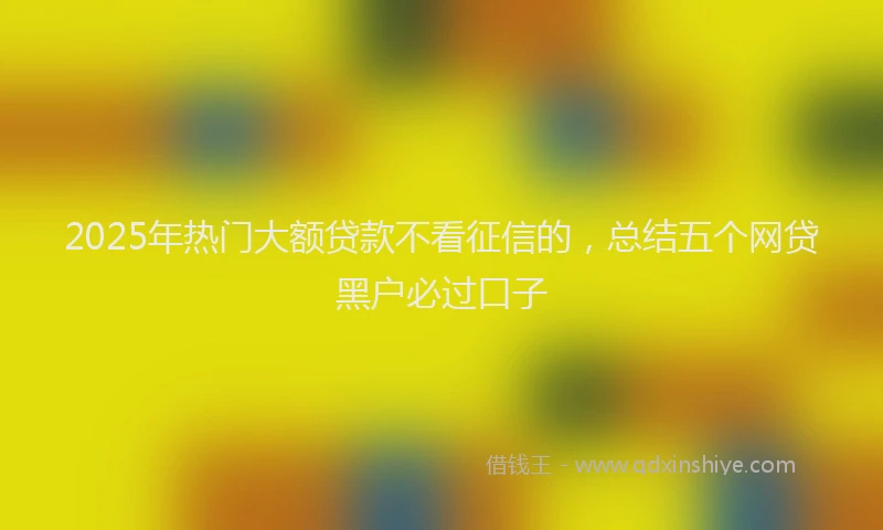 2025年热门大额贷款不看征信的，总结五个网贷黑户必过口子