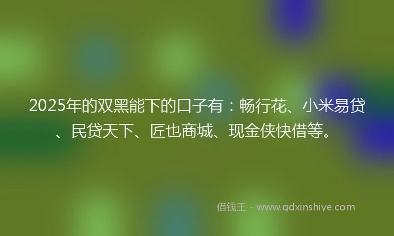 2025年的双黑能下的口子有：畅行花、小米易贷、民贷天下、匠也商城、现金侠快借等。