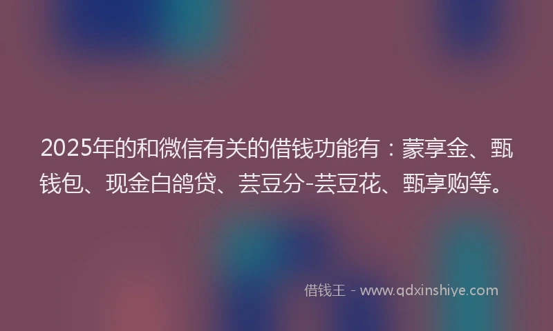 2025年的和微信有关的借钱功能有：蒙享金、甄钱包、现金白鸽贷、芸豆分-芸豆花、甄享购等。