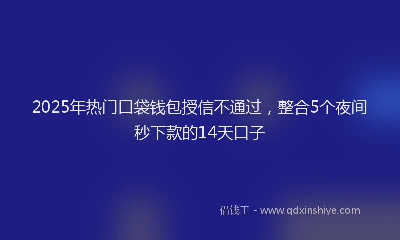 2025年热门口袋钱包授信不通过，整合5个夜间秒下款的14天口子