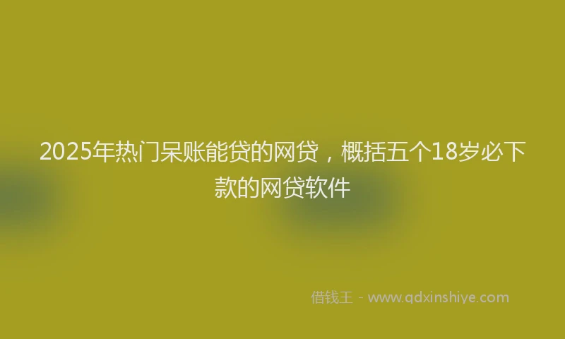 2025年热门呆账能贷的网贷，概括五个18岁必下款的网贷软件