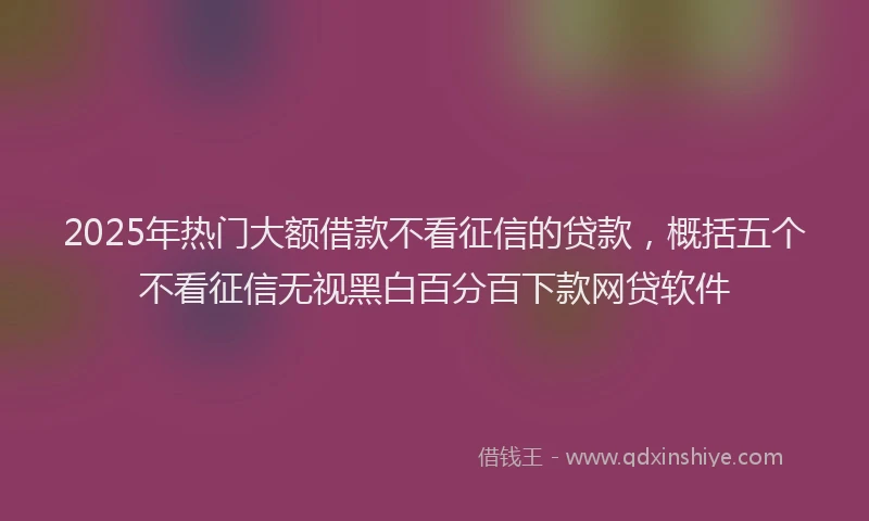 2025年热门大额借款不看征信的贷款，概括五个不看征信无视黑白百分百下款网贷软件