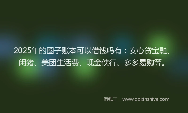 2025年的圈子账本可以借钱吗有：安心贷宝融、闲猪、美团生活费、现金侠行、多多易购等。