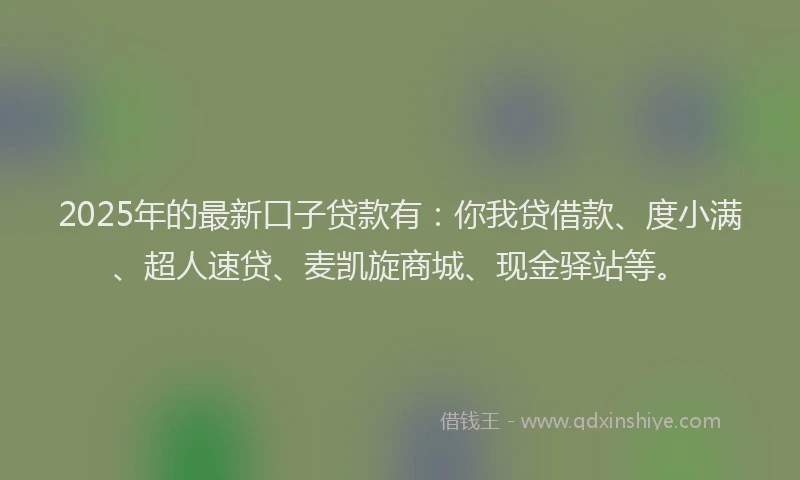 2025年的最新口子贷款有：你我贷借款、度小满、超人速贷、麦凯旋商城、现金驿站等。