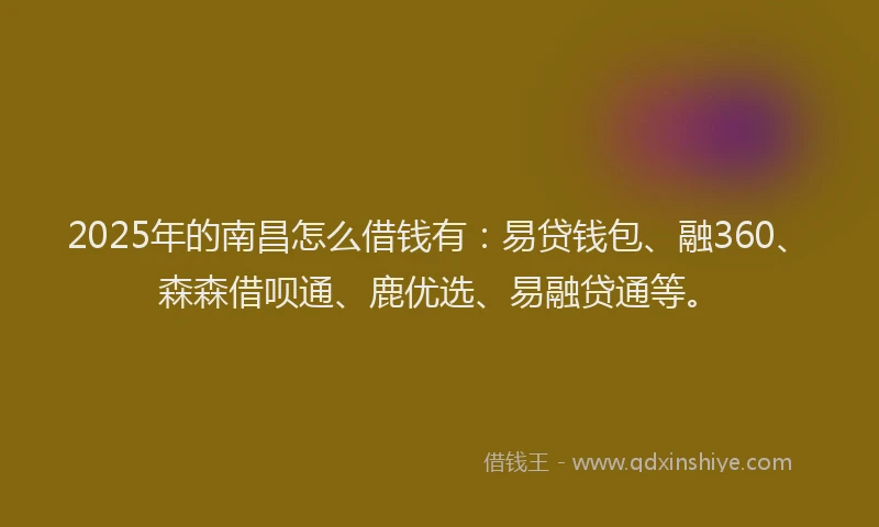 2025年的南昌怎么借钱有：易贷钱包、融360、森森借呗通、鹿优选、易融贷通等。