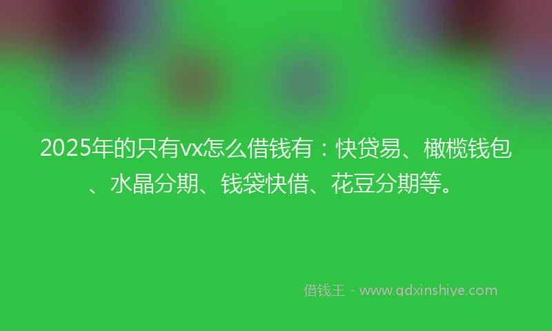 2025年的只有vx怎么借钱有：快贷易、橄榄钱包、水晶分期、钱袋快借、花豆分期等。