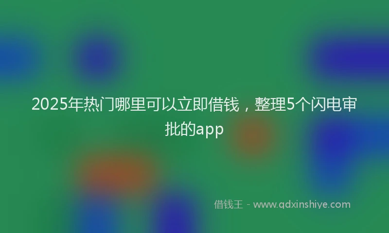 2025年热门哪里可以立即借钱，整理5个闪电审批的app