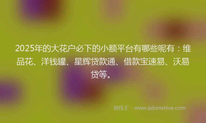 2025年的大花户必下的小额平台有哪些呢有：维品花、洋钱罐、星辉贷款通、借款宝速易、沃易贷等。