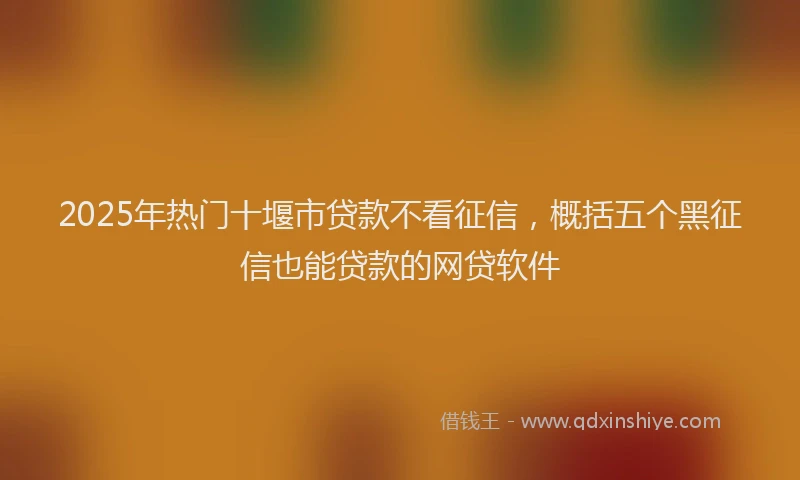 2025年热门十堰市贷款不看征信，概括五个黑征信也能贷款的网贷软件