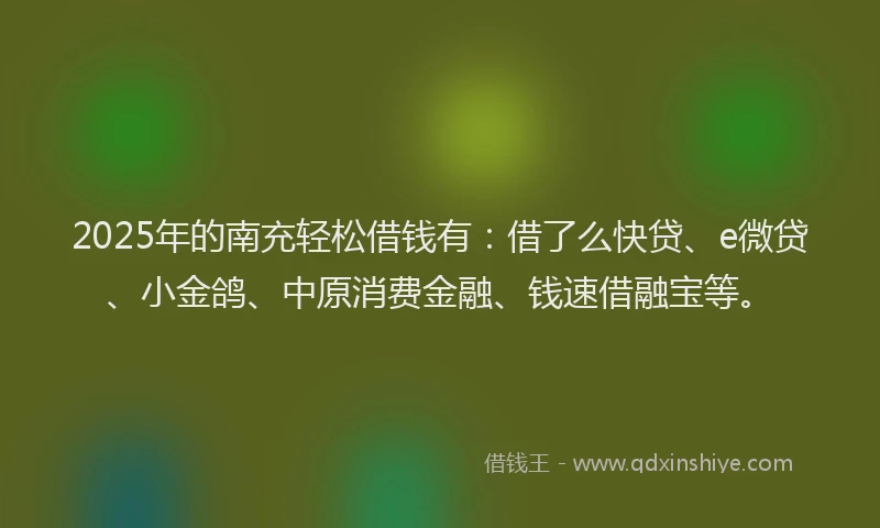 2025年的南充轻松借钱有：借了么快贷、e微贷、小金鸽、中原消费金融、钱速借融宝等。