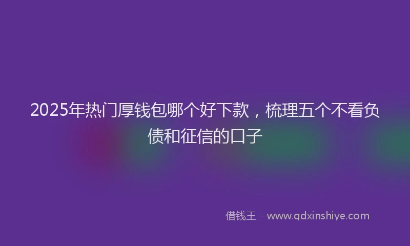 2025年热门厚钱包哪个好下款，梳理五个不看负债和征信的口子