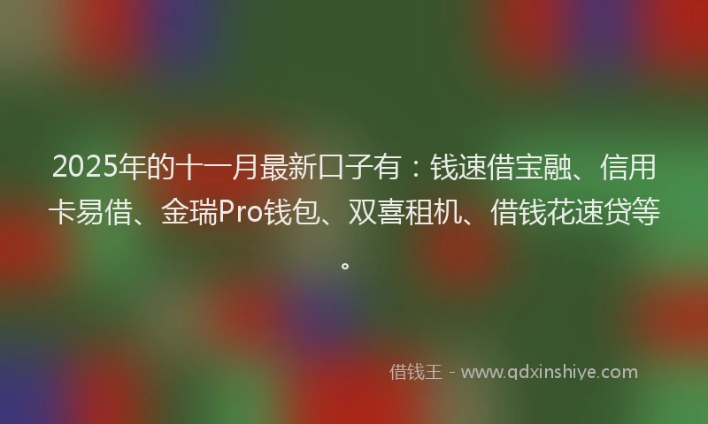 2025年的十一月最新口子有：钱速借宝融、信用卡易借、金瑞Pro钱包、双喜租机、借钱花速贷等。