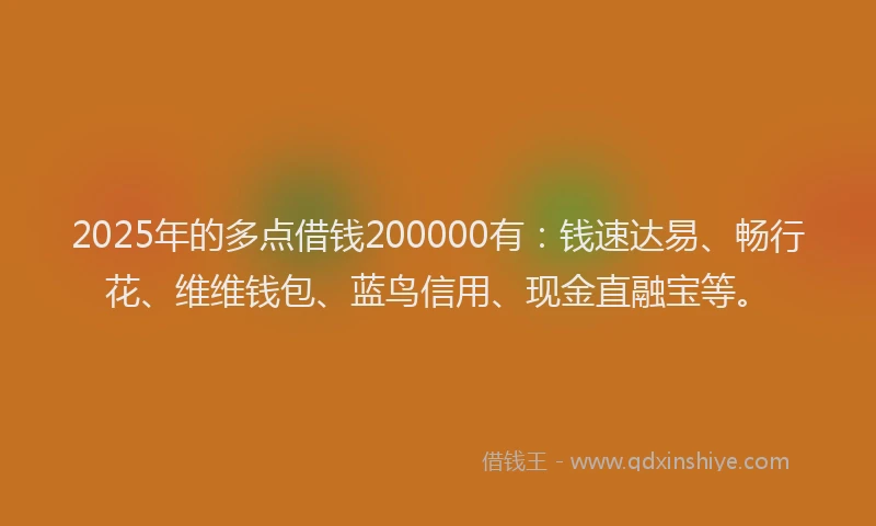 2025年的多点借钱200000有：钱速达易、畅行花、维维钱包、蓝鸟信用、现金直融宝等。