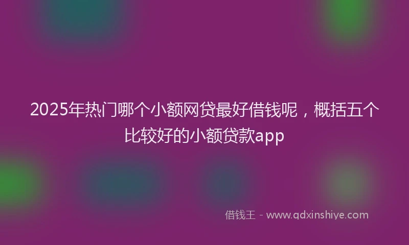 2025年热门哪个小额网贷最好借钱呢，概括五个比较好的小额贷款app