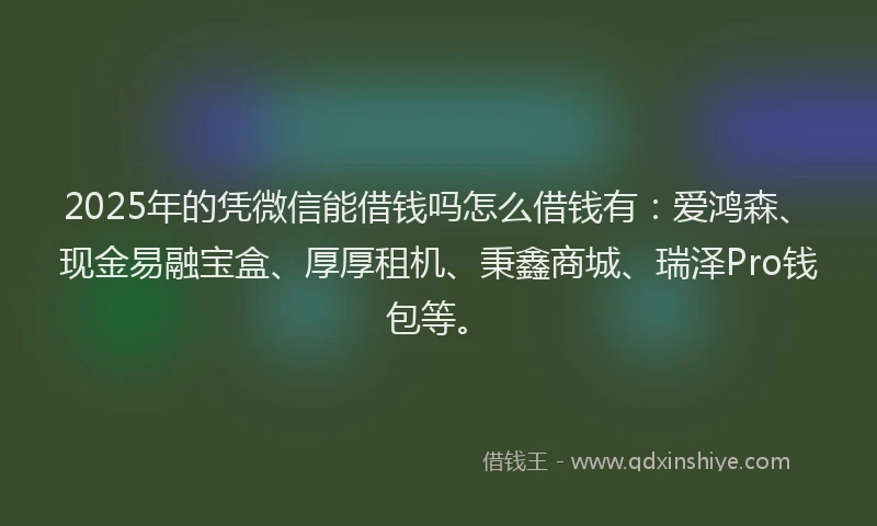 2025年的凭微信能借钱吗怎么借钱有：爱鸿森、现金易融宝盒、厚厚租机、秉鑫商城、瑞泽Pro钱包等。