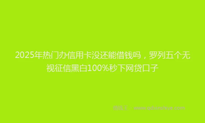 2025年热门办信用卡没还能借钱吗，罗列五个无视征信黑白100%秒下网贷口子