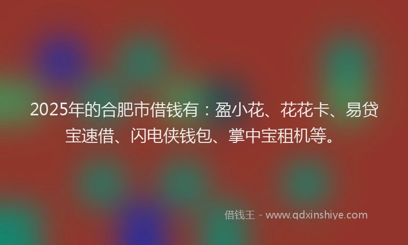 2025年的合肥市借钱有：盈小花、花花卡、易贷宝速借、闪电侠钱包、掌中宝租机等。
