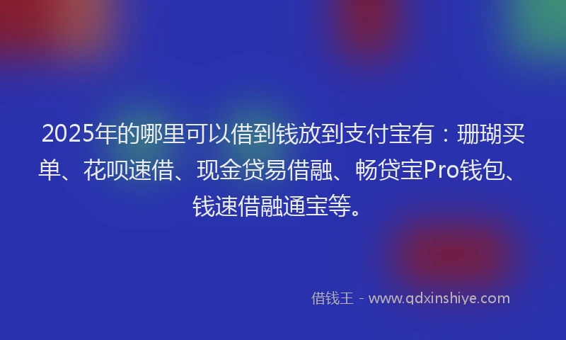 2025年的哪里可以借到钱放到支付宝有：珊瑚买单、花呗速借、现金贷易借融、畅贷宝Pro钱包、钱速借融通宝等。