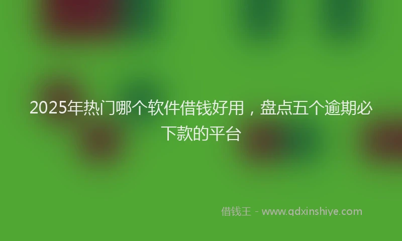 2025年热门哪个软件借钱好用，盘点五个逾期必下款的平台