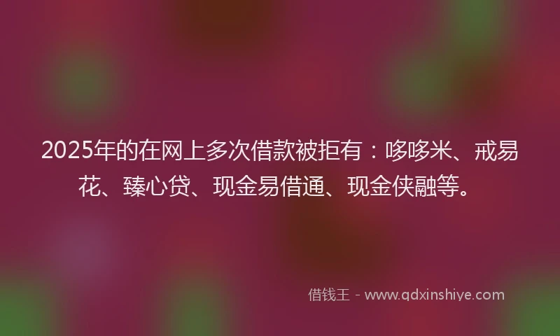 2025年的在网上多次借款被拒有：哆哆米、戒易花、臻心贷、现金易借通、现金侠融等。