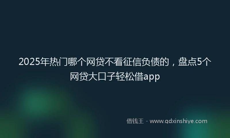 2025年热门哪个网贷不看征信负债的，盘点5个网贷大口子轻松借app