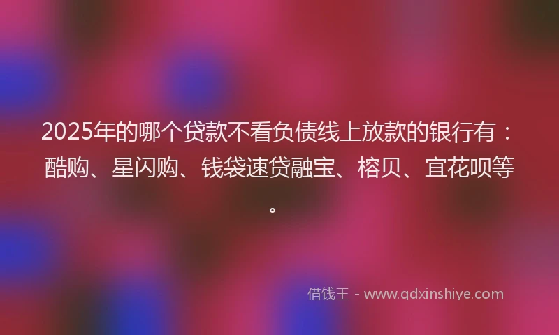 2025年的哪个贷款不看负债线上放款的银行有：酷购、星闪购、钱袋速贷融宝、榕贝、宜花呗等。