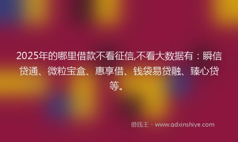 2025年的哪里借款不看征信,不看大数据有：瞬信贷通、微粒宝盒、惠享借、钱袋易贷融、臻心贷等。