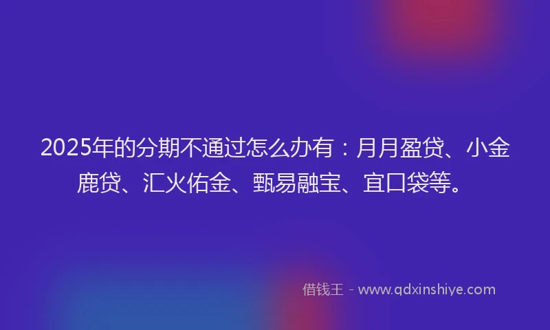 2025年的分期不通过怎么办有：月月盈贷、小金鹿贷、汇火佑金、甄易融宝、宜口袋等。