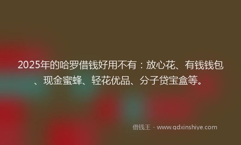 2025年的哈罗借钱好用不有：放心花、有钱钱包、现金蜜蜂、轻花优品、分子贷宝盒等。
