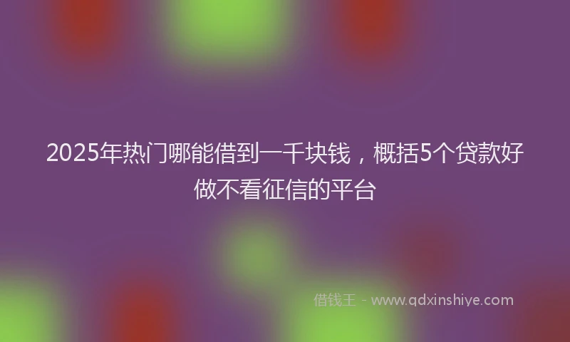 2025年热门哪能借到一千块钱，概括5个贷款好做不看征信的平台