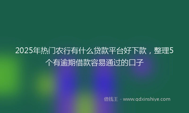 2025年热门农行有什么贷款平台好下款，整理5个有逾期借款容易通过的口子