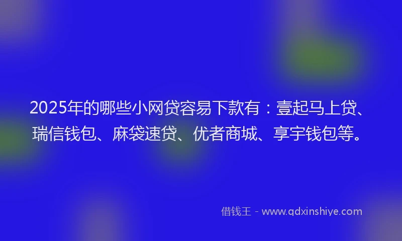 2025年的哪些小网贷容易下款有：壹起马上贷、瑞信钱包、麻袋速贷、优者商城、享宇钱包等。