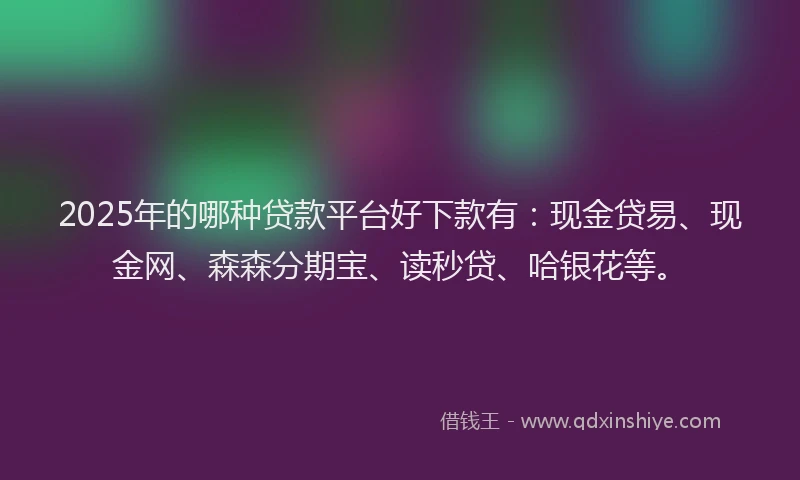 2025年的哪种贷款平台好下款有：现金贷易、现金网、森森分期宝、读秒贷、哈银花等。