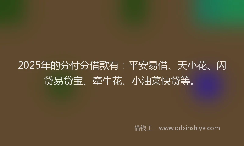 2025年的分付分借款有：平安易借、天小花、闪贷易贷宝、牵牛花、小油菜快贷等。
