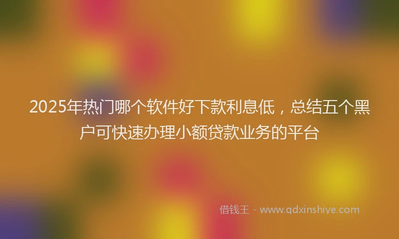 2025年热门哪个软件好下款利息低，总结五个黑户可快速办理小额贷款业务的平台