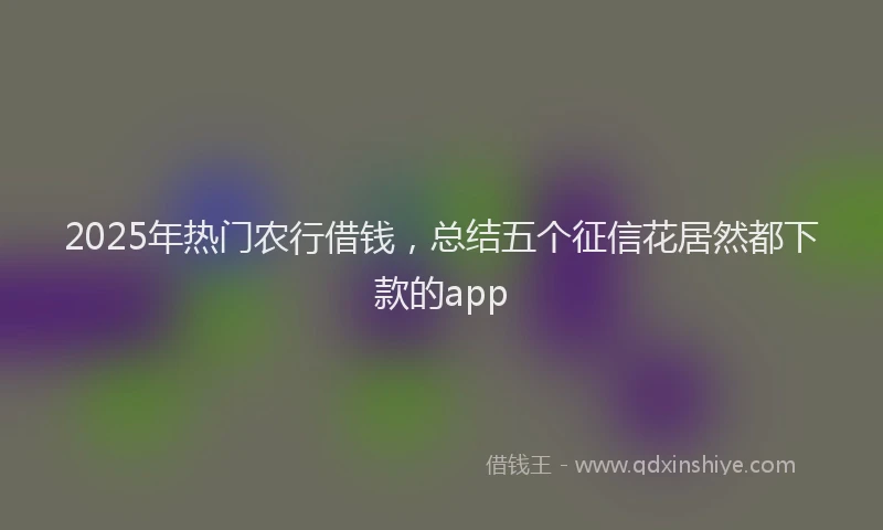 2025年热门农行借钱，总结五个征信花居然都下款的app