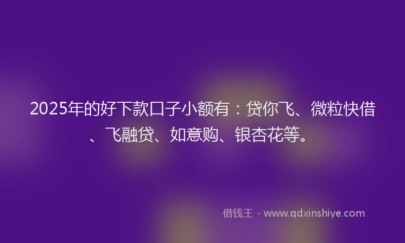 2025年的好下款口子小额有：贷你飞、微粒快借、飞融贷、如意购、银杏花等。