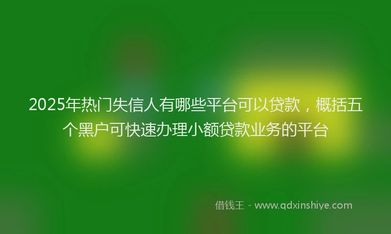 2025年热门失信人有哪些平台可以贷款，概括五个黑户可快速办理小额贷款业务的平台