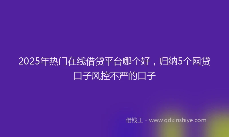2025年热门在线借贷平台哪个好，归纳5个网贷口子风控不严的口子