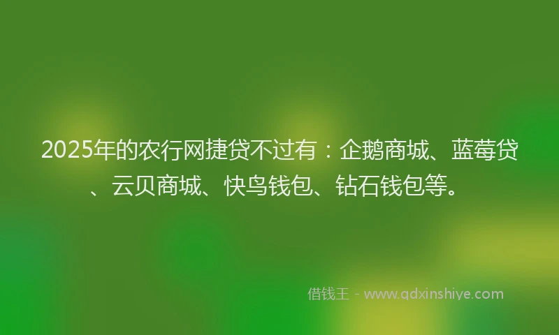 2025年的农行网捷贷不过有：企鹅商城、蓝莓贷、云贝商城、快鸟钱包、钻石钱包等。