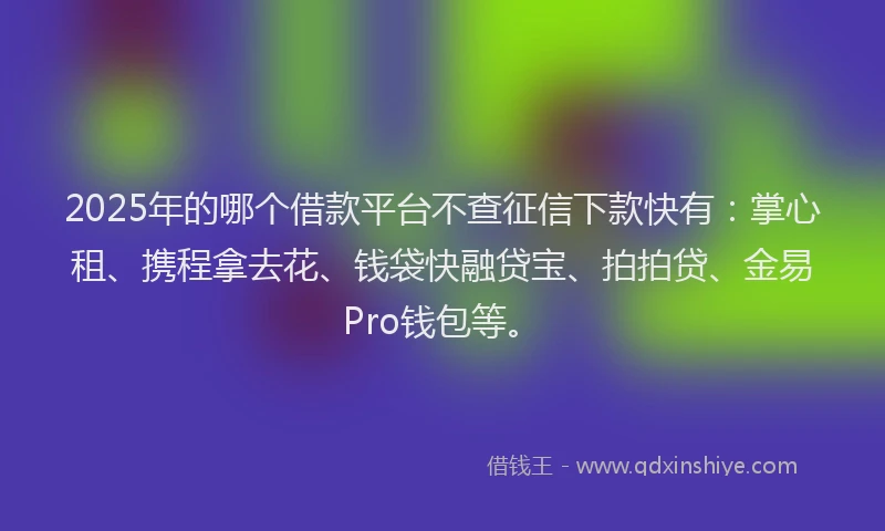 2025年的哪个借款平台不查征信下款快有：掌心租、携程拿去花、钱袋快融贷宝、拍拍贷、金易Pro钱包等。