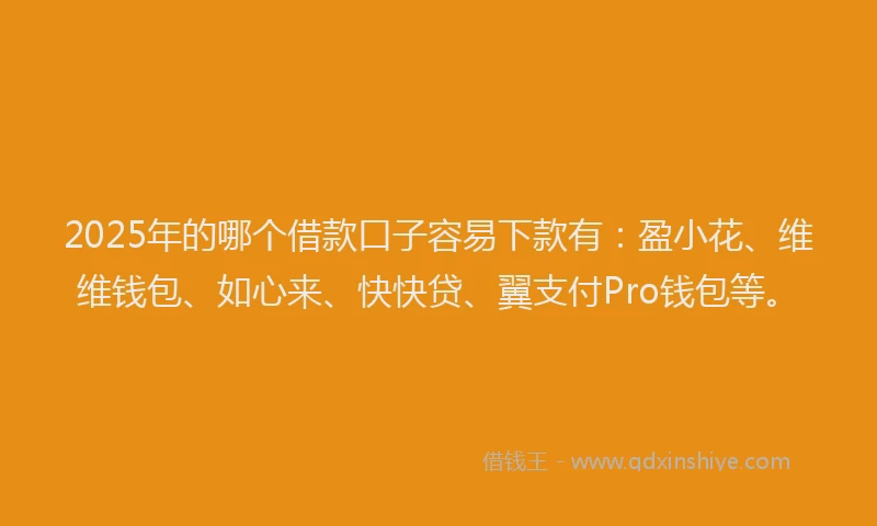 2025年的哪个借款口子容易下款有：盈小花、维维钱包、如心来、快快贷、翼支付Pro钱包等。