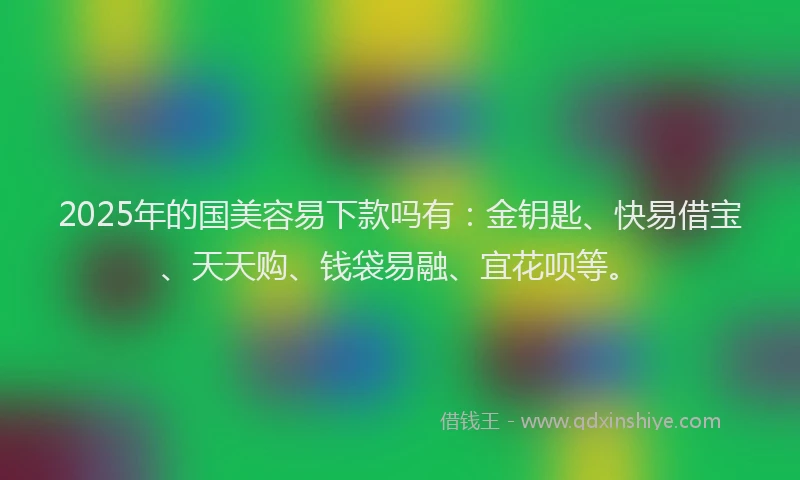 2025年的国美容易下款吗有：金钥匙、快易借宝、天天购、钱袋易融、宜花呗等。