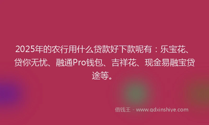 2025年的农行用什么贷款好下款呢有：乐宝花、贷你无忧、融通Pro钱包、吉祥花、现金易融宝贷途等。