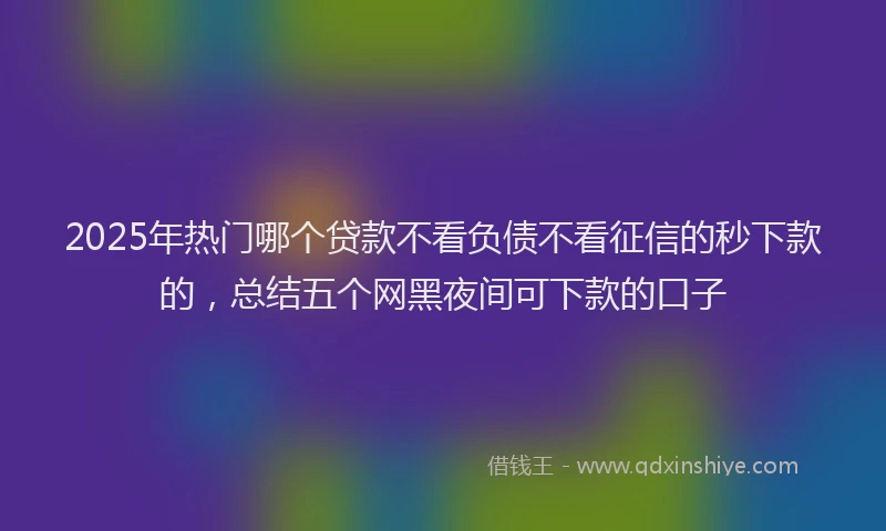 2025年热门哪个贷款不看负债不看征信的秒下款的，总结五个网黑夜间可下款的口子